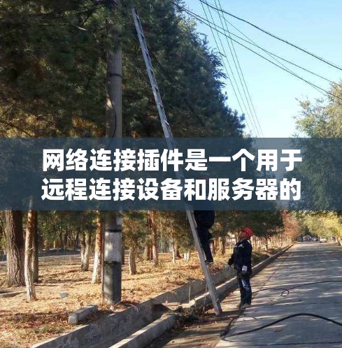 网络连接插件是一个用于远程连接设备和服务器的工具，通常会支持多种网络协议，帮助用户在任何设备上与远程服务器或应用程序连接。以下是对该插件的详细分析