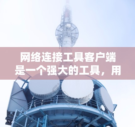 网络连接工具客户端是一个强大的工具，用于管理用户连接到网络的设备和服务。以下是一步步的指导，帮助你使用该工具